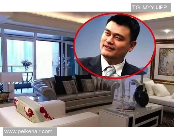 姚明詹姆斯身价