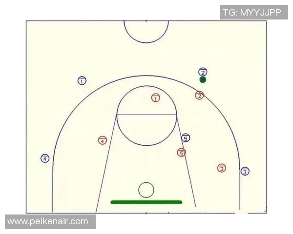 深入分析深圳排球队的区域防守战术及其战术优势与实施效果